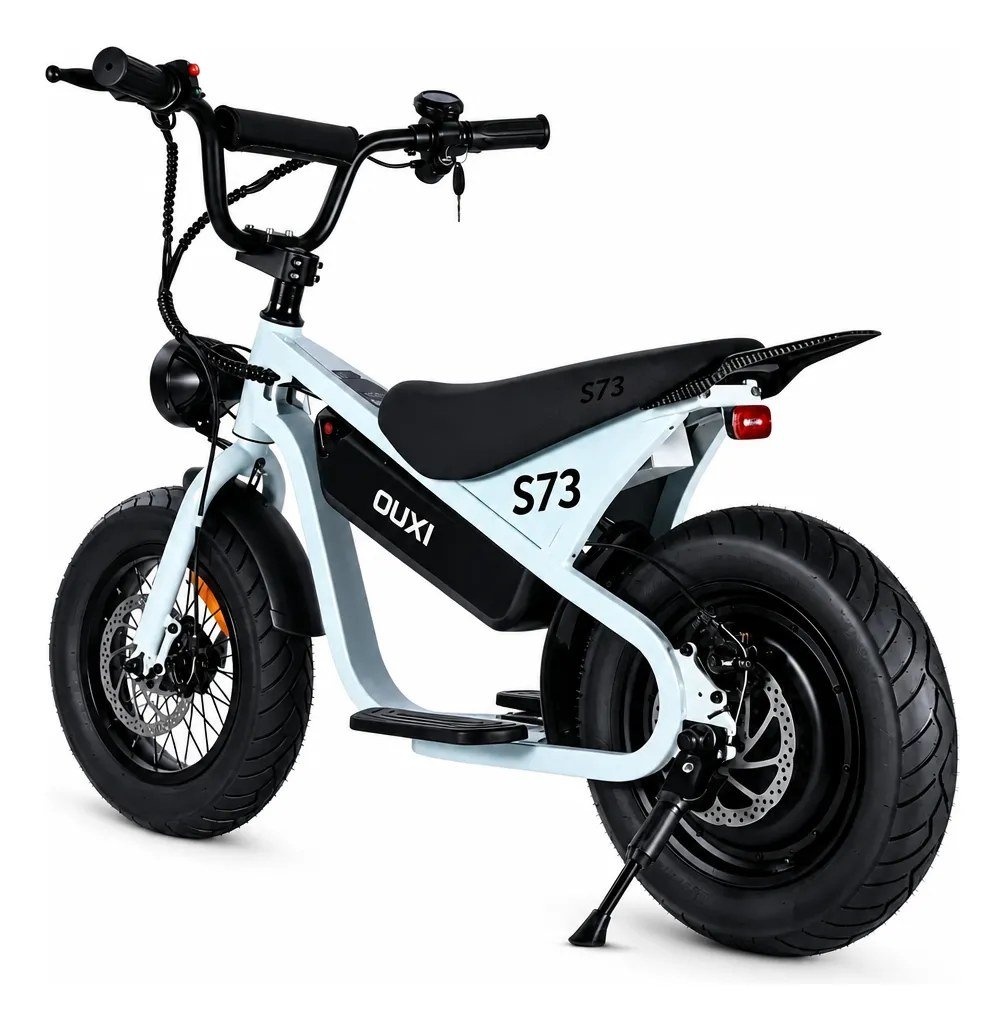 Panda S73 36V 500W