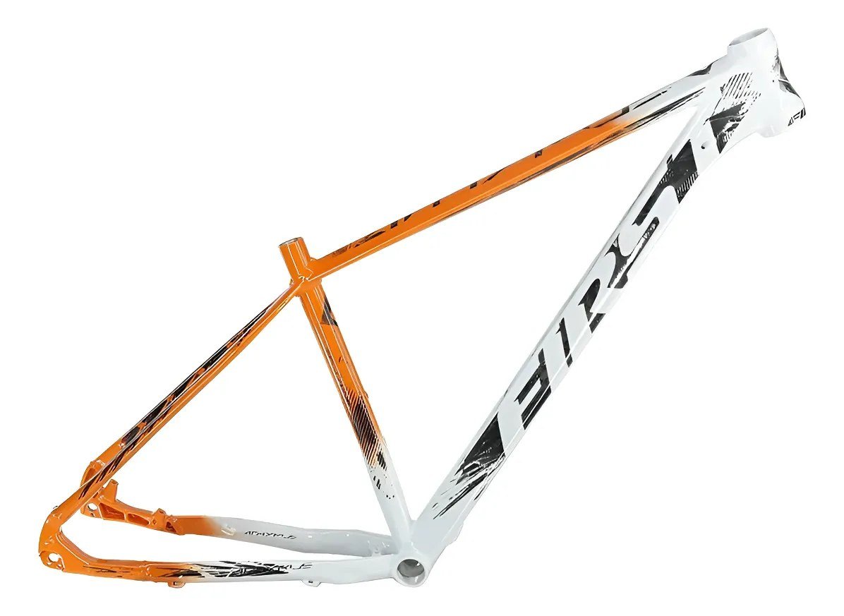 Quadro First Athymus Aro 29