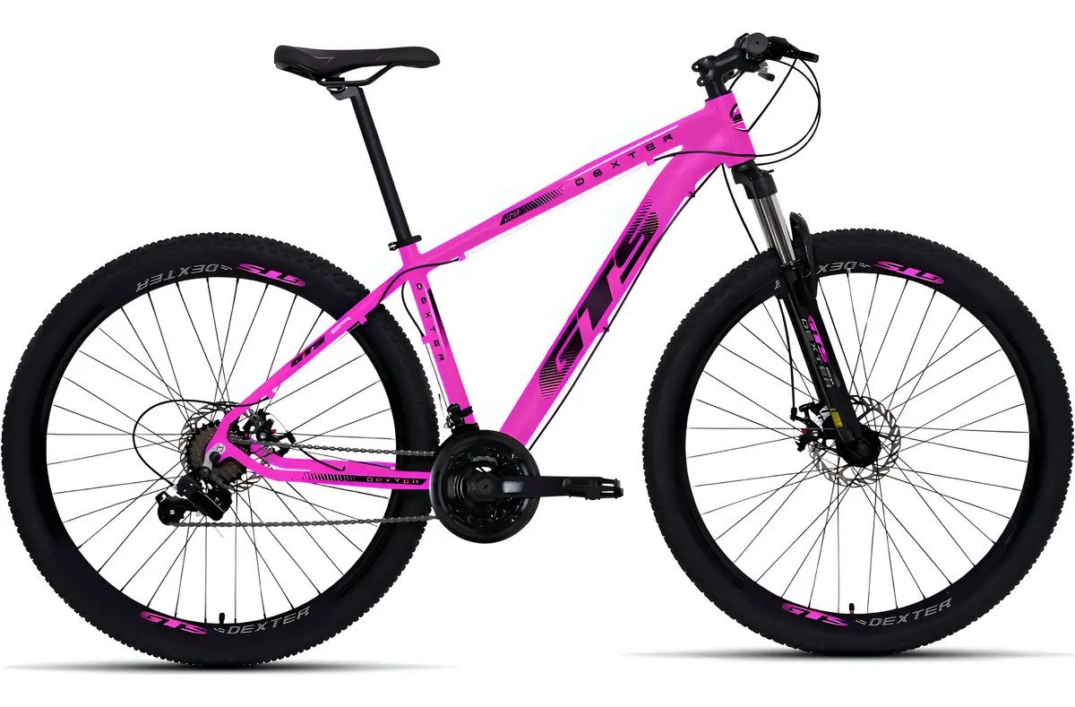 GTS Dexter Aro 29 Tam 21 Rosa