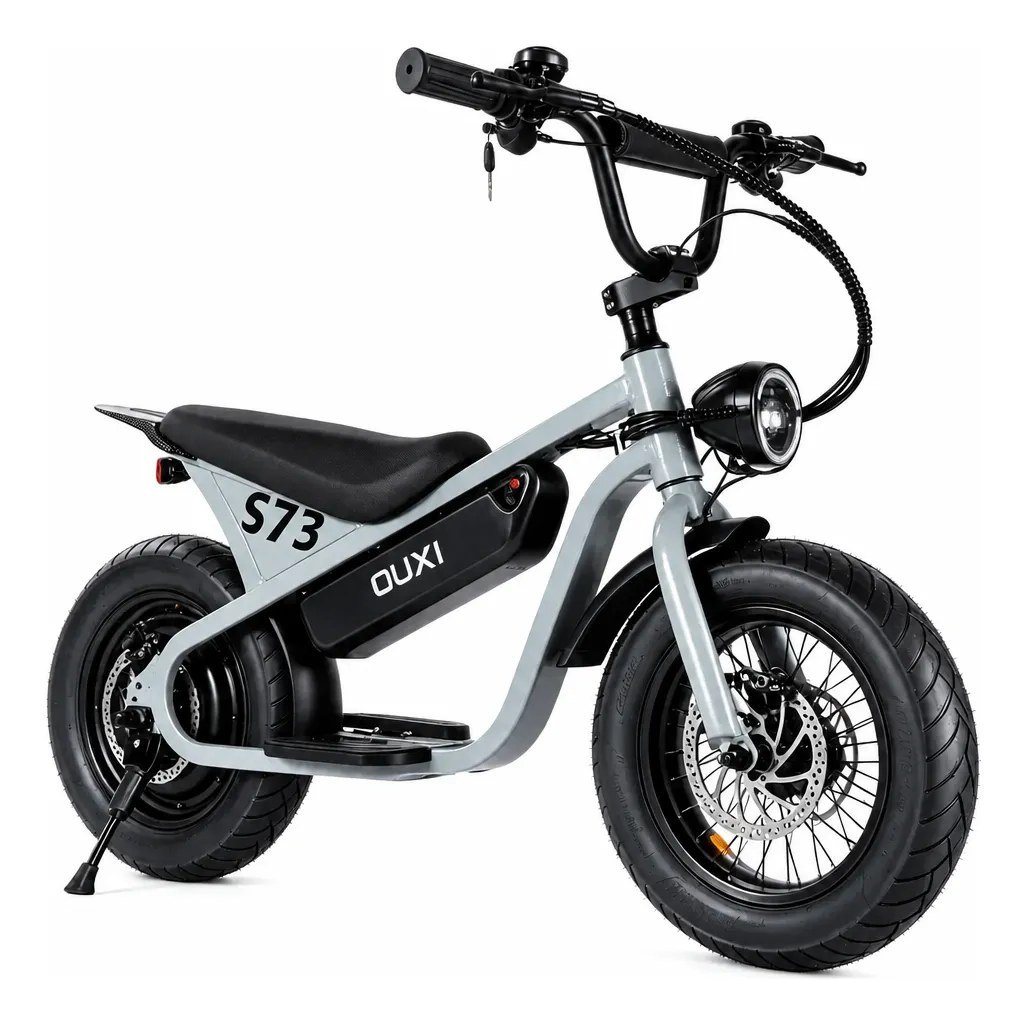 Panda S73 500W